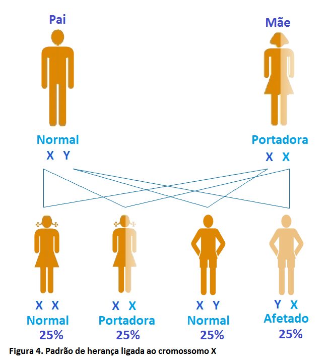 Erros Inatos do Metabolismo – EIM